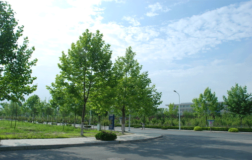 ֣���¶������ѧУ �Ĵ�ʦ��