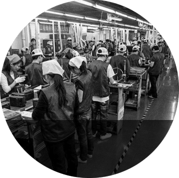 ֣�������ѵ