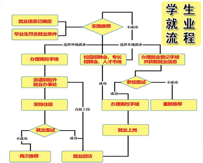 undefined 毕业学生就业流程