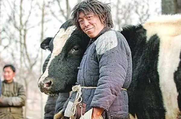 斗牛黄渤_5,《斗牛》