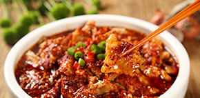 �в�����רҵ